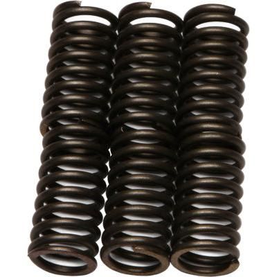 Load image into Gallery viewer, EBC CSK Series Heavy Duty Clutch Spring Kit for Kawasaki KDX200 1995-2006
