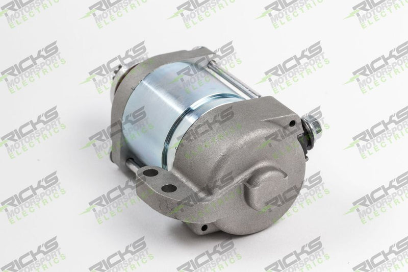 Load image into Gallery viewer, Ricks Starter Motor 61-901
