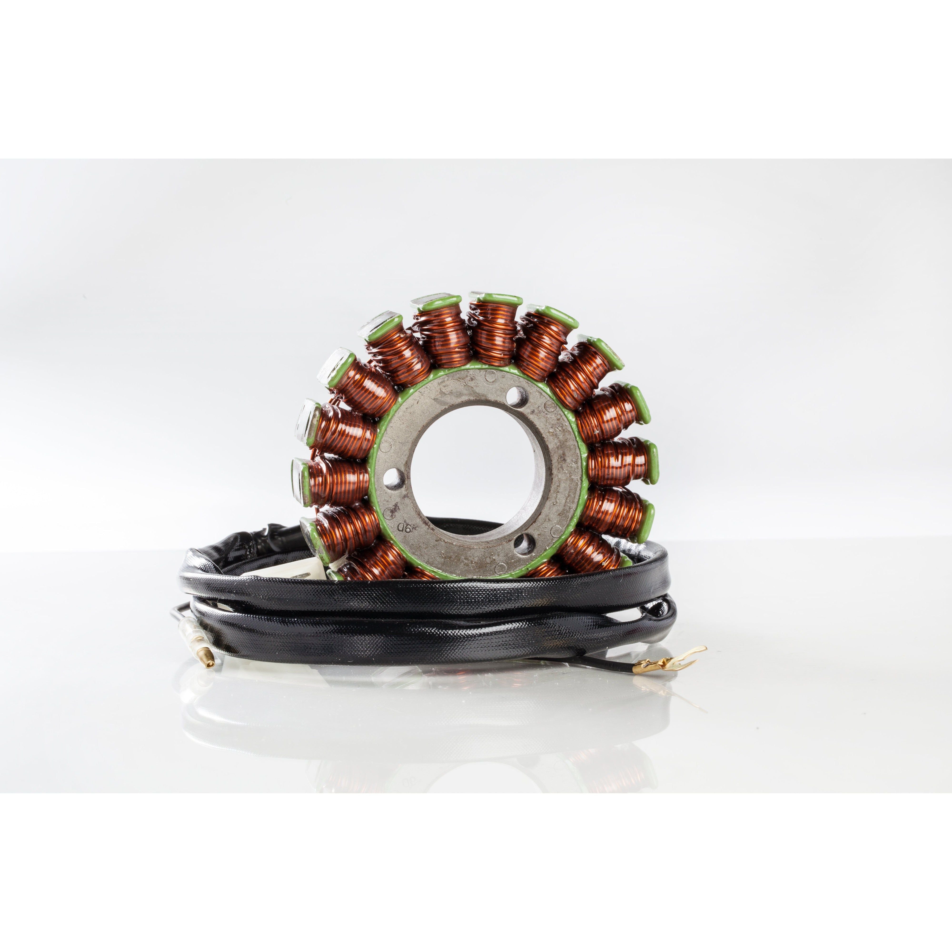 Ricks Stator For Kawasaki Voyager 1300 ZN1300A 1983-1988 21-228