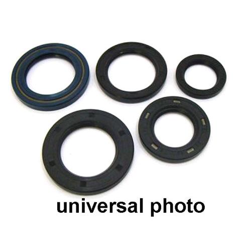 Load image into Gallery viewer, Vertex Oil Seal Kit 822276
