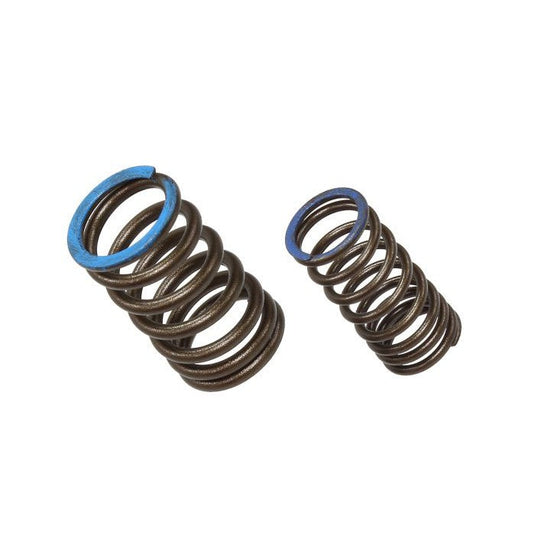 Intake Valve Spring XU-09563IS