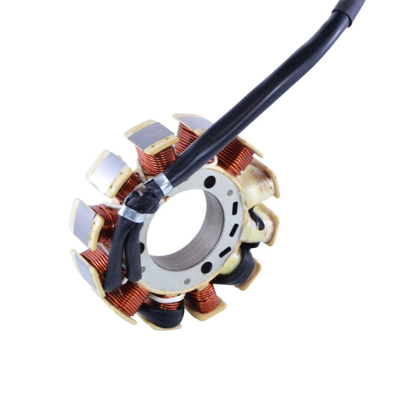 Load image into Gallery viewer, RMStator Stator RM01008
