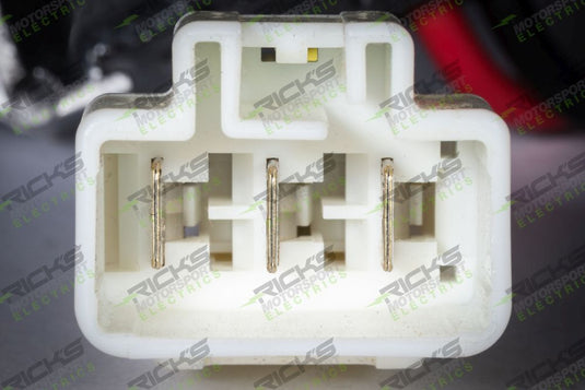 Ricks Rectifier-Regulator 10-S114