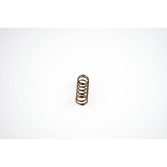 WSM Power Valve Spring for Sea-Doo 951 DI 00-07 010-034