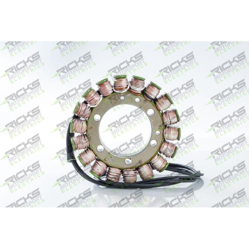 Load image into Gallery viewer, Ricks Stator 21-023
