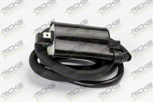 Ricks Ignition Coil 23-106