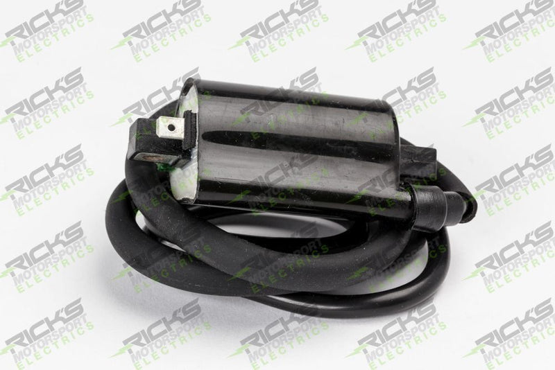 Load image into Gallery viewer, Ricks Ignition Coil 23-106
