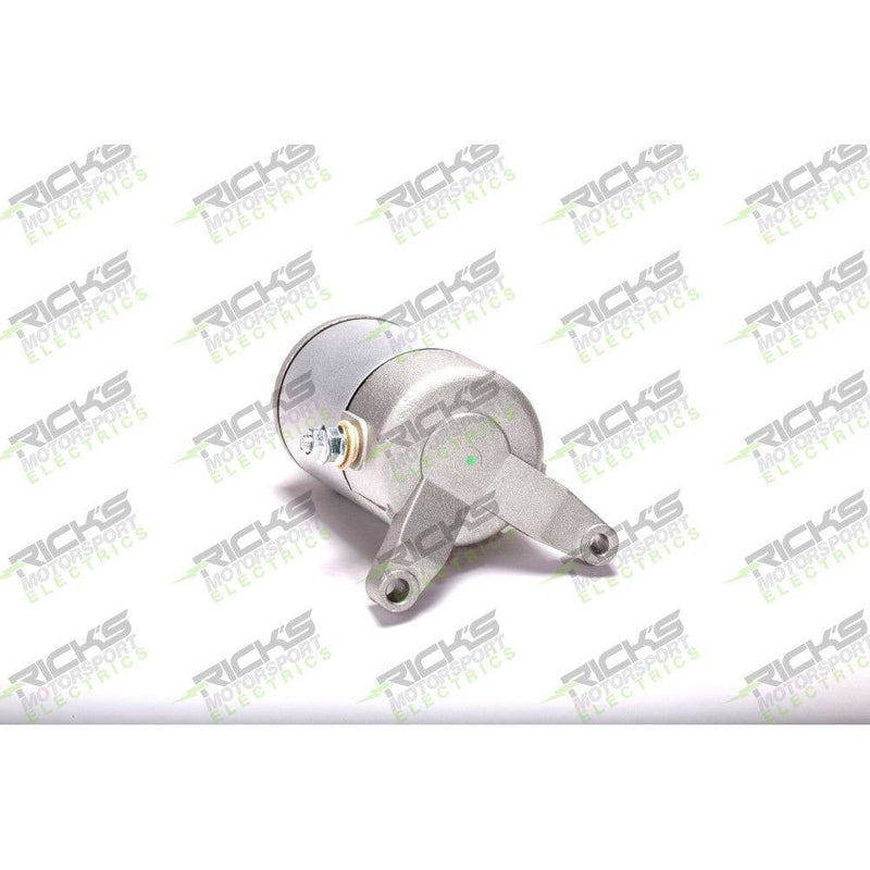 Load image into Gallery viewer, Ricks Starter Motor 61-313
