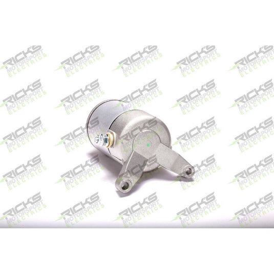 Ricks Starter Motor 61-313