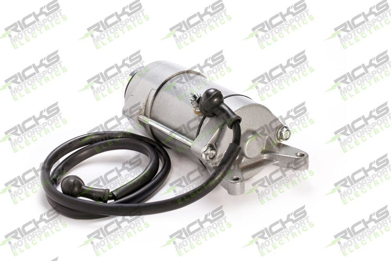 Load image into Gallery viewer, Ricks Starter Motor 61-401
