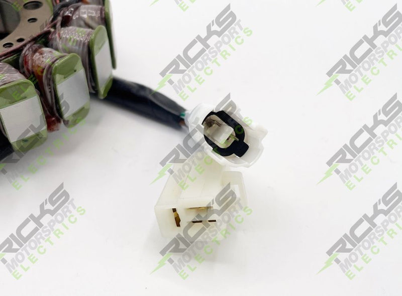 Load image into Gallery viewer, Ricks Hot Shot Series Stator For Yamaha TW200 2001-2024 21-932H

