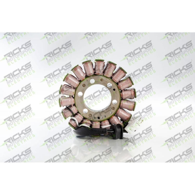 Load image into Gallery viewer, Ricks Stator 21-314
