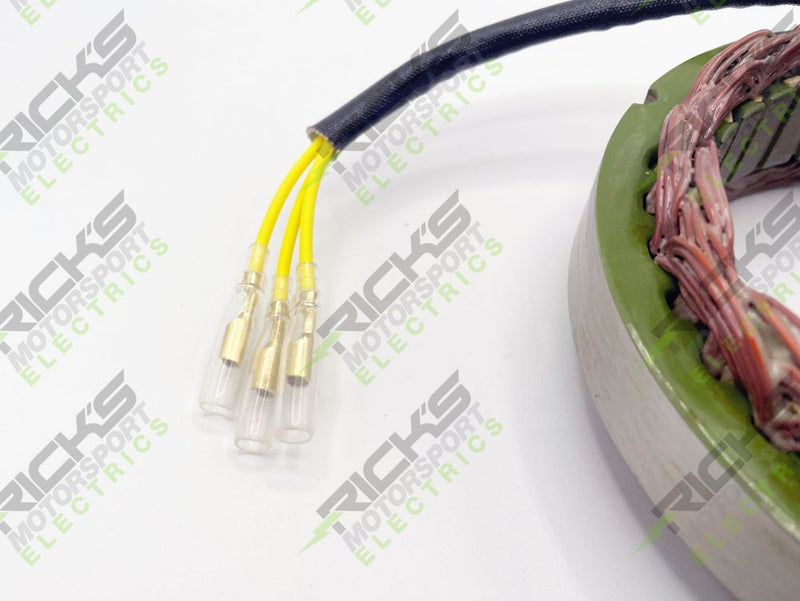 Load image into Gallery viewer, Ricks Stator 21-171
