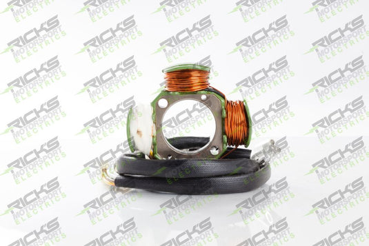 Ricks Hot Shot Series Stator 21-820H