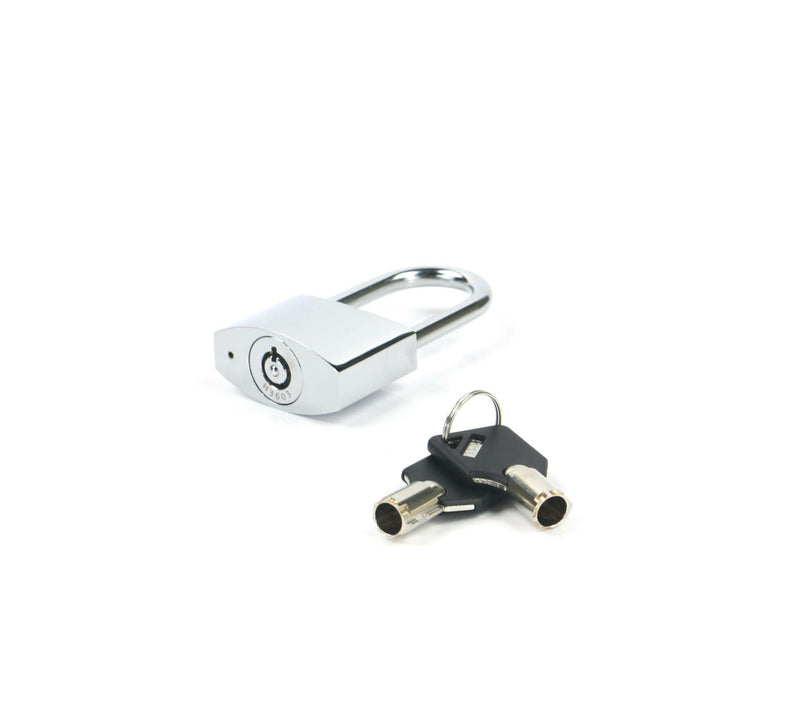 Load image into Gallery viewer, Weigh Safe Padlock
