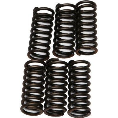 EBC Clutch Plates CSK Spring Kit for Triumph Sprint ST (1050cc) 05-09