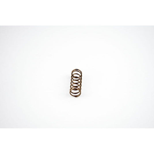 WSM Power Valve Spring for Sea-Doo 951 DI 00-07 010-034