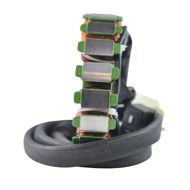 Load image into Gallery viewer, RMStator Stator RM01334
