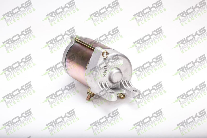 Load image into Gallery viewer, Ricks Starter Motor 61-603
