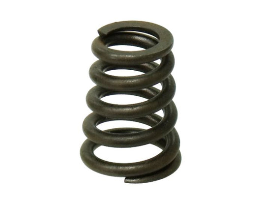 Exhaust/Intake Valve Spring XU-09549S