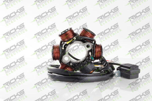 Ricks Stator 21-061