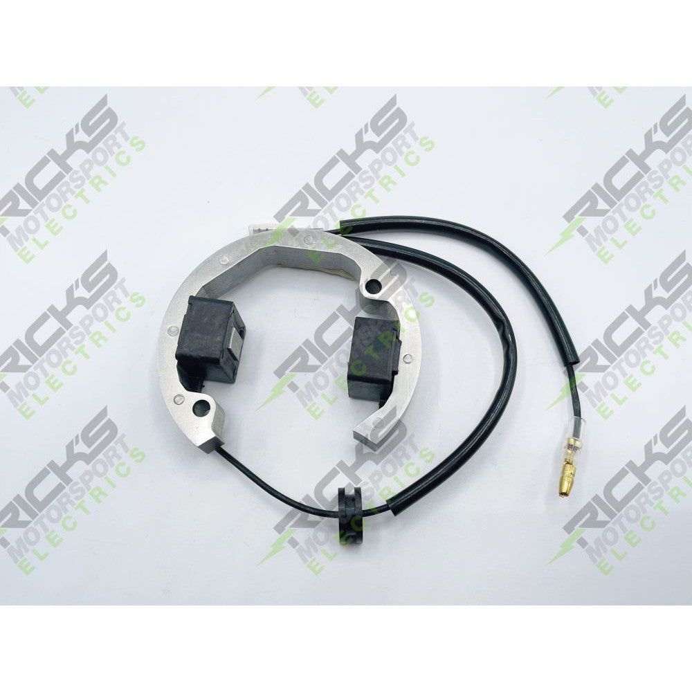 Ricks Stator 21-0093