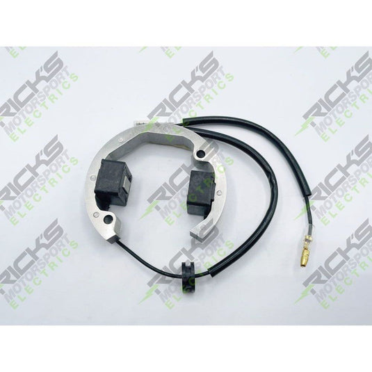 Ricks Stator 21-0093