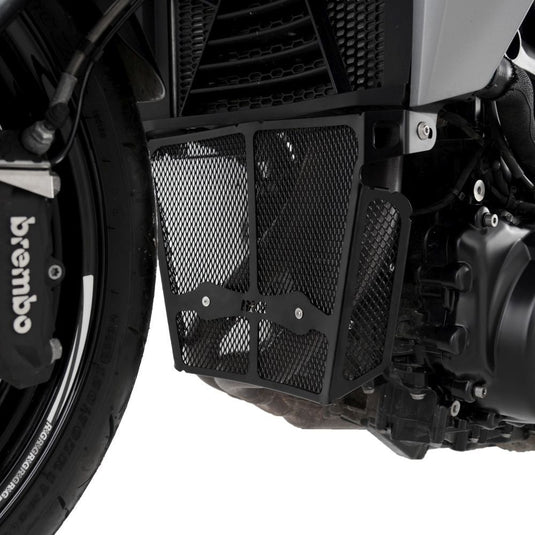 R&G Racing Black Downpipe Grill For 2020-2024 BMW F900R DG0042BK