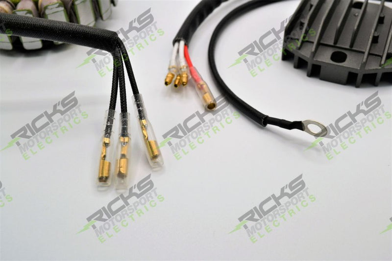 Load image into Gallery viewer, Ricks Hot Shot Series Charging Kit 14-99-200H
