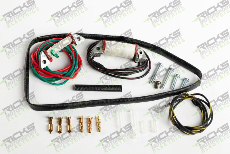 Load image into Gallery viewer, Ricks Stator Rebuild Kit For Kawasaki KX80 Big Wheel 1981-1989 22-704
