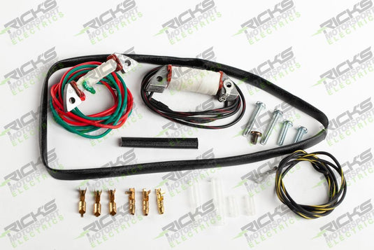 Ricks Stator Rebuild Kit For Kawasaki KX80 Big Wheel 1981-1989 22-704