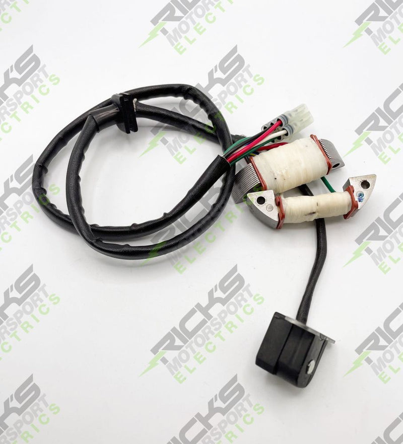 Load image into Gallery viewer, Ricks Stator Rebuild Kit 22-707
