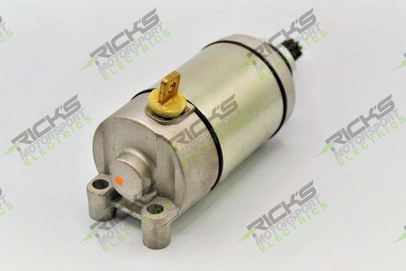 Load image into Gallery viewer, Ricks Starter Motor 61-431
